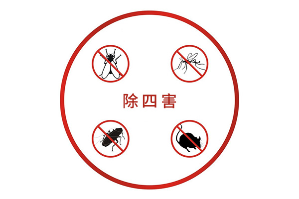 四害危害大盘点：解析四害传播的疾病与危害，让你对它们重视起来！