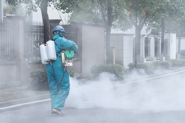 消除威胁，守护健康！揭示病媒生物消杀的目的和意义！