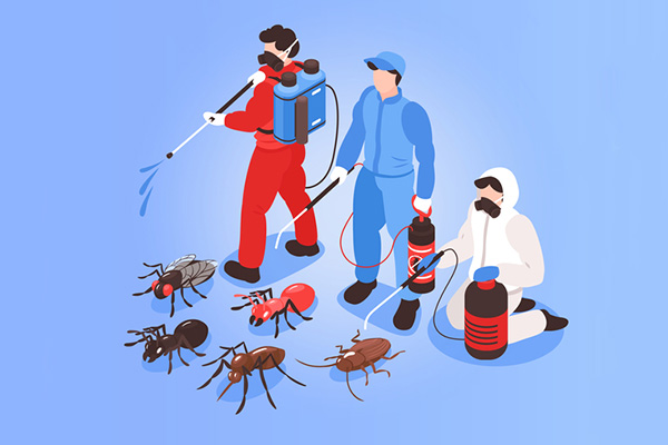 科学进行四害消杀，杜绝病菌传播，守护家人健康与安全！