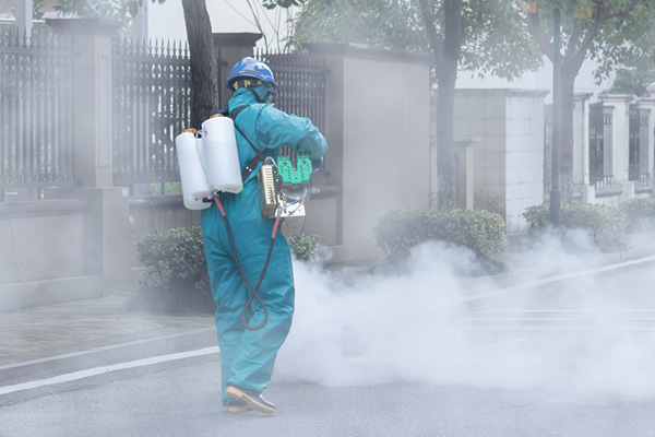 科学进行四害消杀，杜绝病菌传播，守护家人健康与安全！